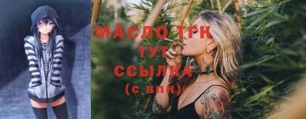 соль ск Пересвет