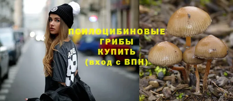 Псилоцибиновые грибы Psilocybe  Полевской 