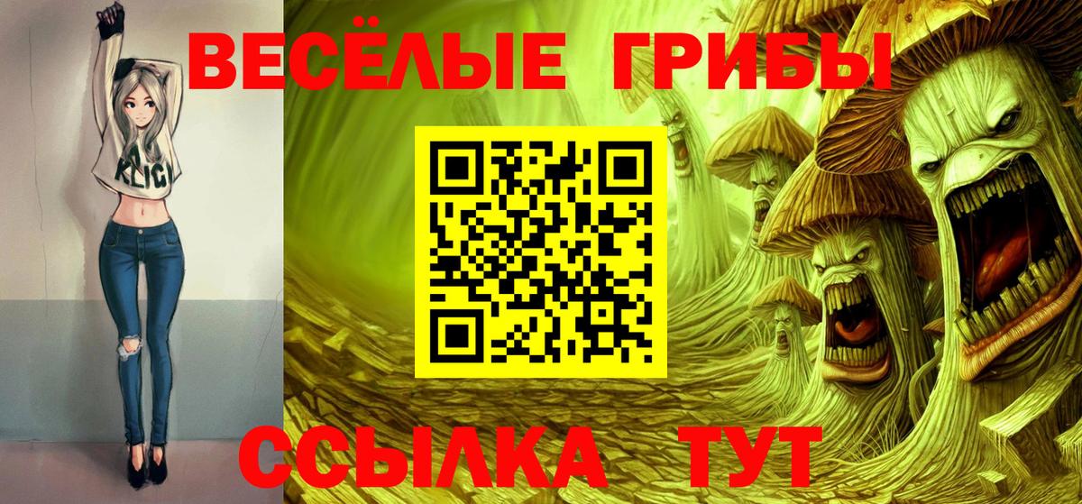 Псилоцибиновые грибы Psilocybine cubensis Полевской