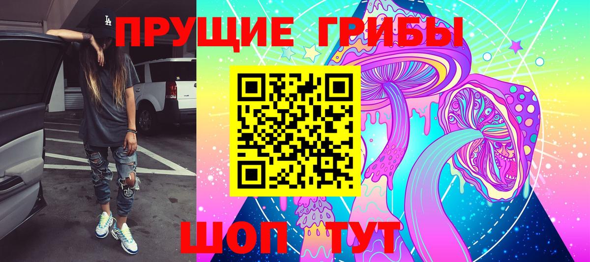 Псилоцибиновые грибы Psilocybe  Вход с VPN  Полевской 