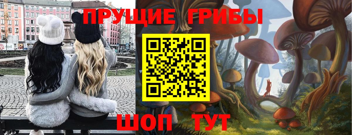 Галлюциногенные грибы Psilocybe Полевской